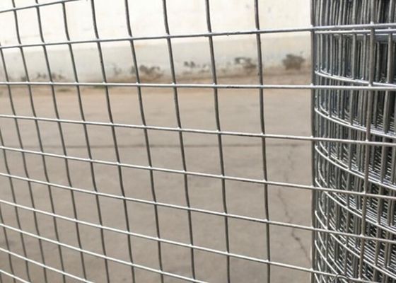 湿気の防止の電流を通された二重金網の塀2.5mのゲージは上塗を施してある粉にする