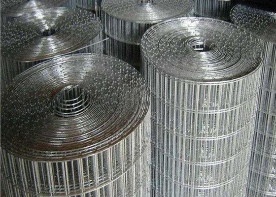 湿気の防止の電流を通された二重金網の塀2.5mのゲージは上塗を施してある粉にする